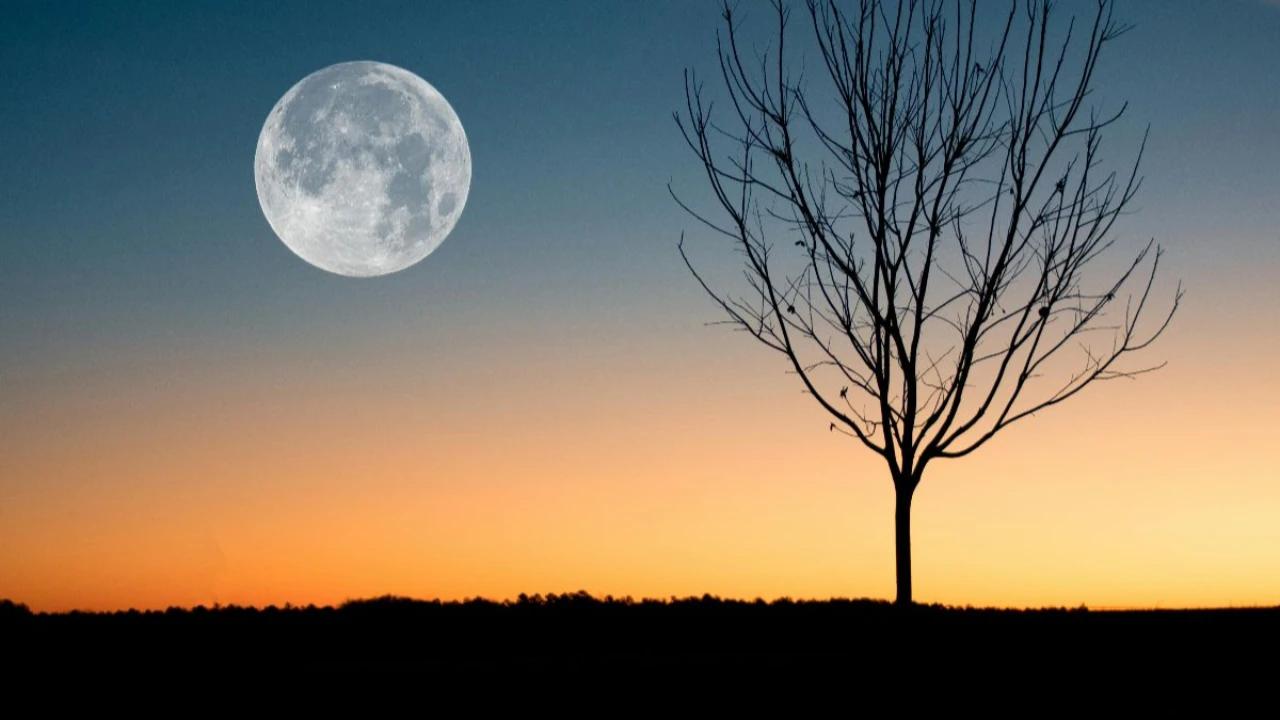 Hasil Penelitian Pastikan Inti Bulan Berbentuk Padat Mirip Besi