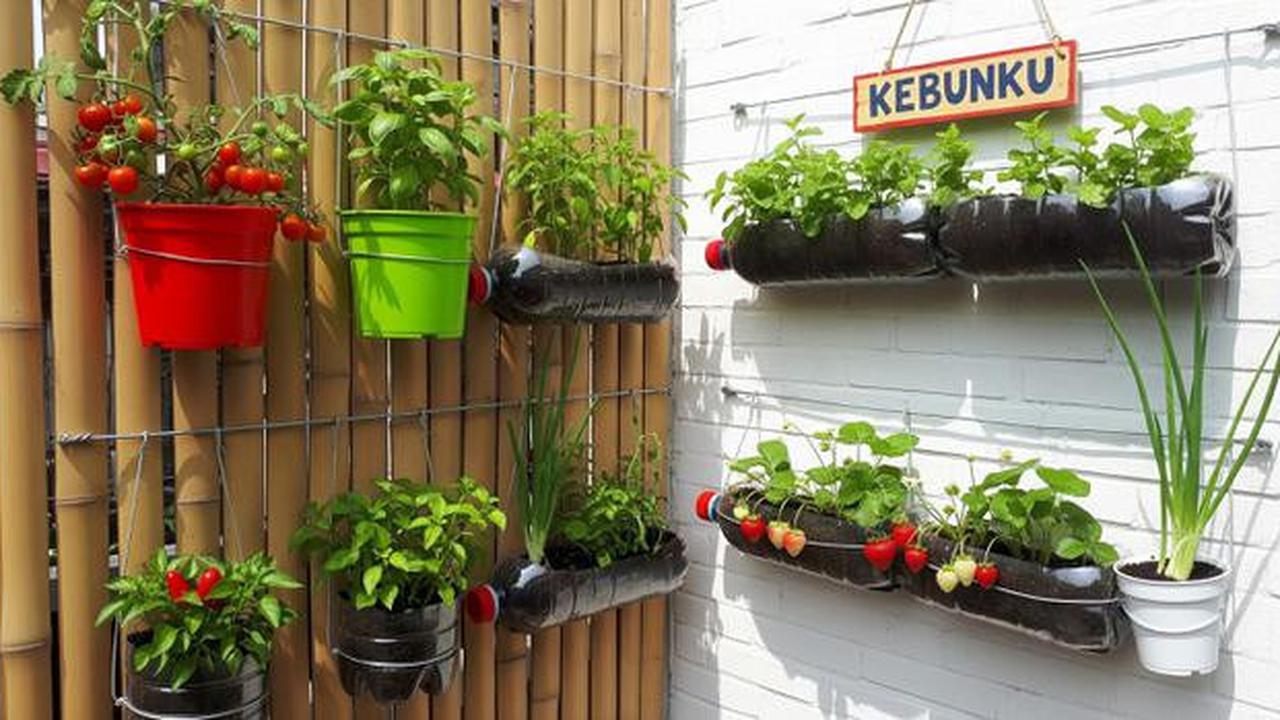 10 Model Kebun Mini untuk Anak-anak Belajar Berkebun di Rumah, Seru dan Edukatif
