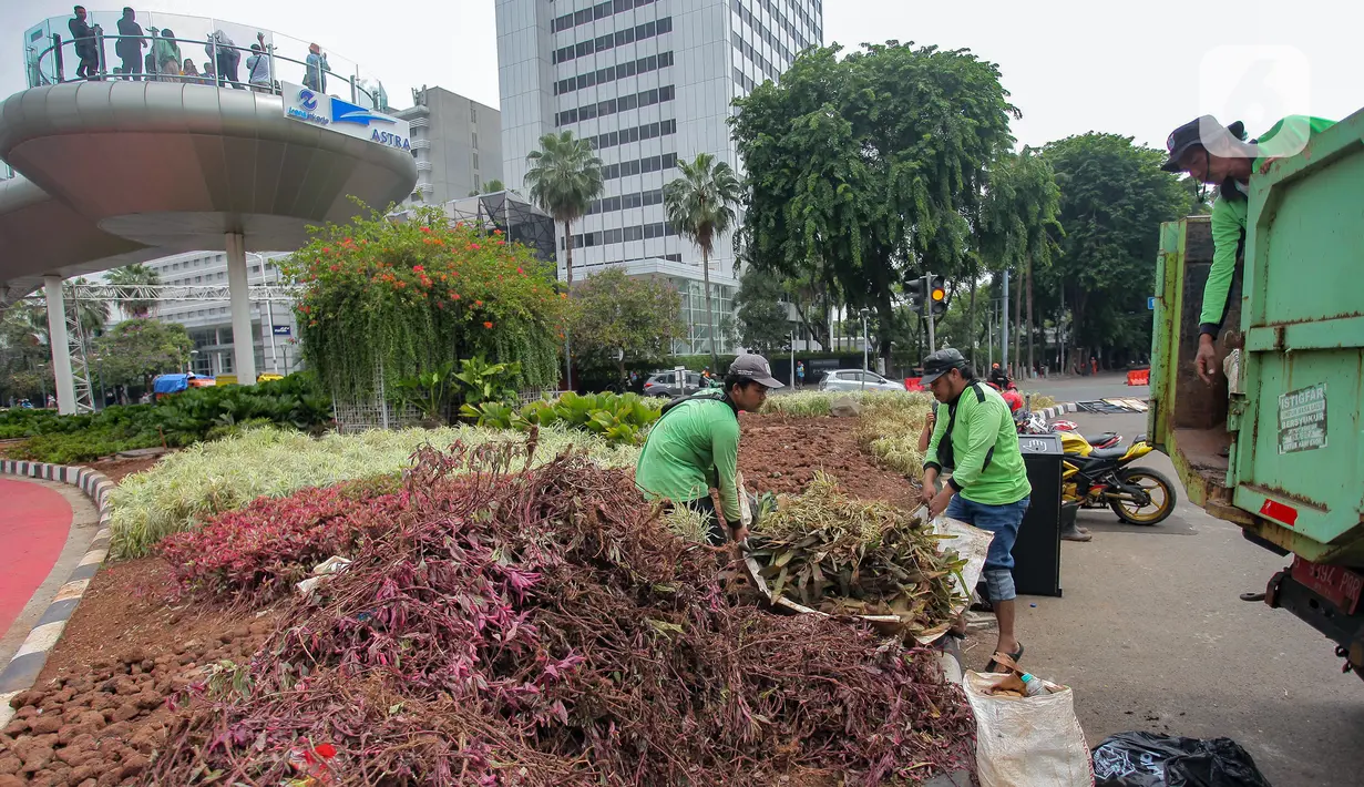 Beberapa tanaman juga rusak di sekitar Plaza Indonesia dan dekat Posko 3 Pilar. (merdeka.com/Arie Basuki)