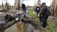 KLH Menang Gugatan Kebakaran Lahan, Perusahaan Sawit di Kalimantan Harus Bayar Ganti Rugi Rp282,8 Miliar