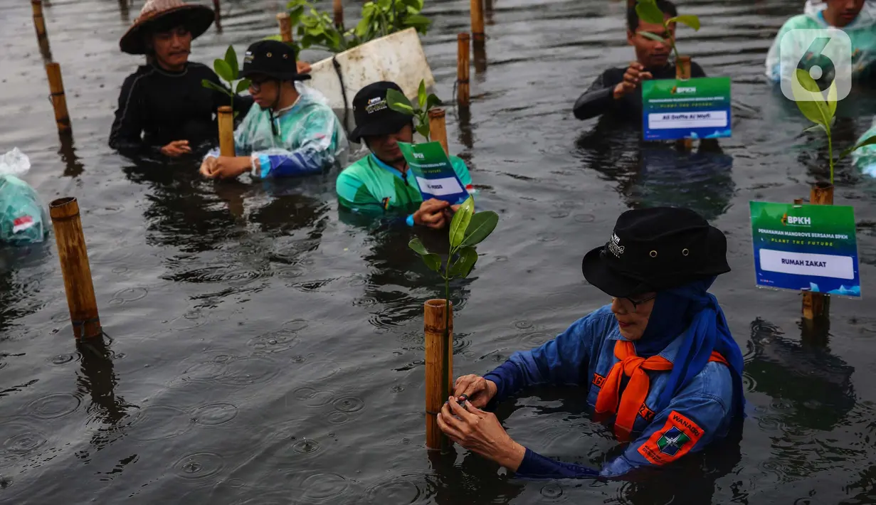 Selain untuk menjaga kelestarian alam di wilayah pesisir, penanaman 1.000 pohon mangrove  juga mendukung gerakan net zero emission. (Liputan6.com/Angga Yuniar)