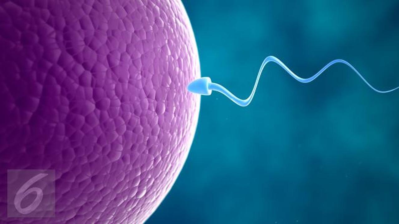 20151102-Ilustrasi Sperma atau Sel Reproduksi Laki-laki