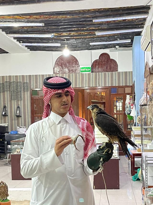 Burung Falcon
