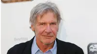 Harrison Ford mengalami luka di kepala dan penyebab kecelakaan sedang diselidiki.