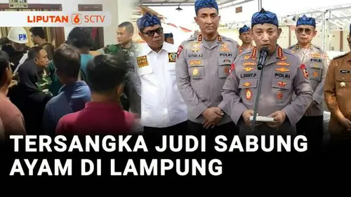 VIDEO: Satu Warga Sipil Jadi Tersangka Judi Sabung Ayam, Dua Anggota TNI Masih Berstatus Saksi