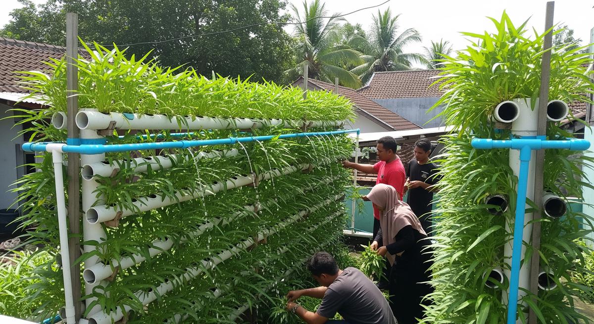 Potong Batang Sekitar 5–10 Cm dari Permukaan Media