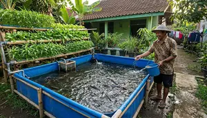 9 Cara Ternak Lele di Kolam Terpal Sambil Menanam Sayuran, Hemat Tempat dan Praktis