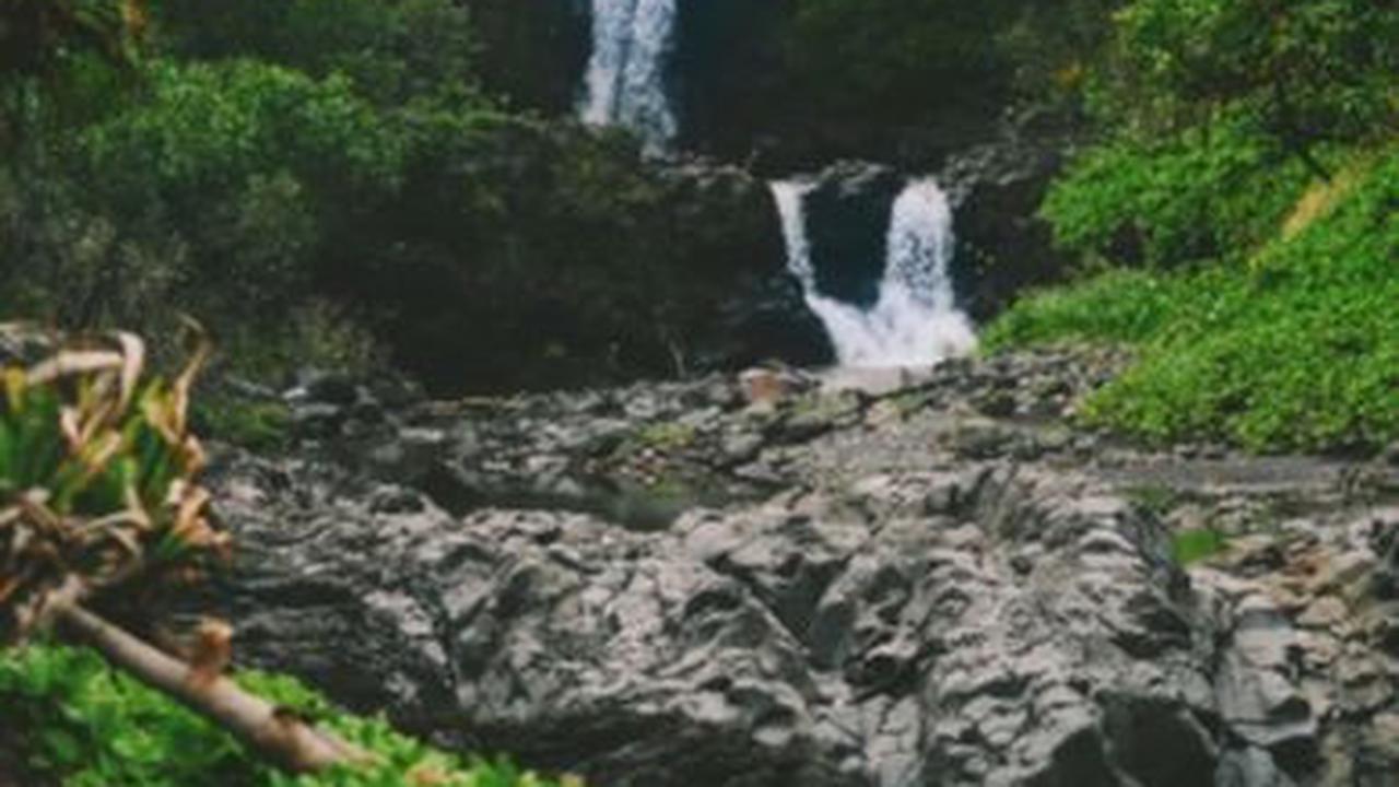 Cara Melestarikan Sumber Daya Alam<br>