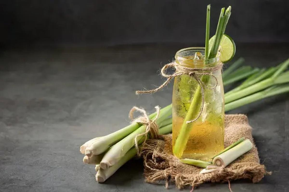 Cara Menanak Nasi Agar Tidak Cepat Basi dan Rendah Kolesterol
