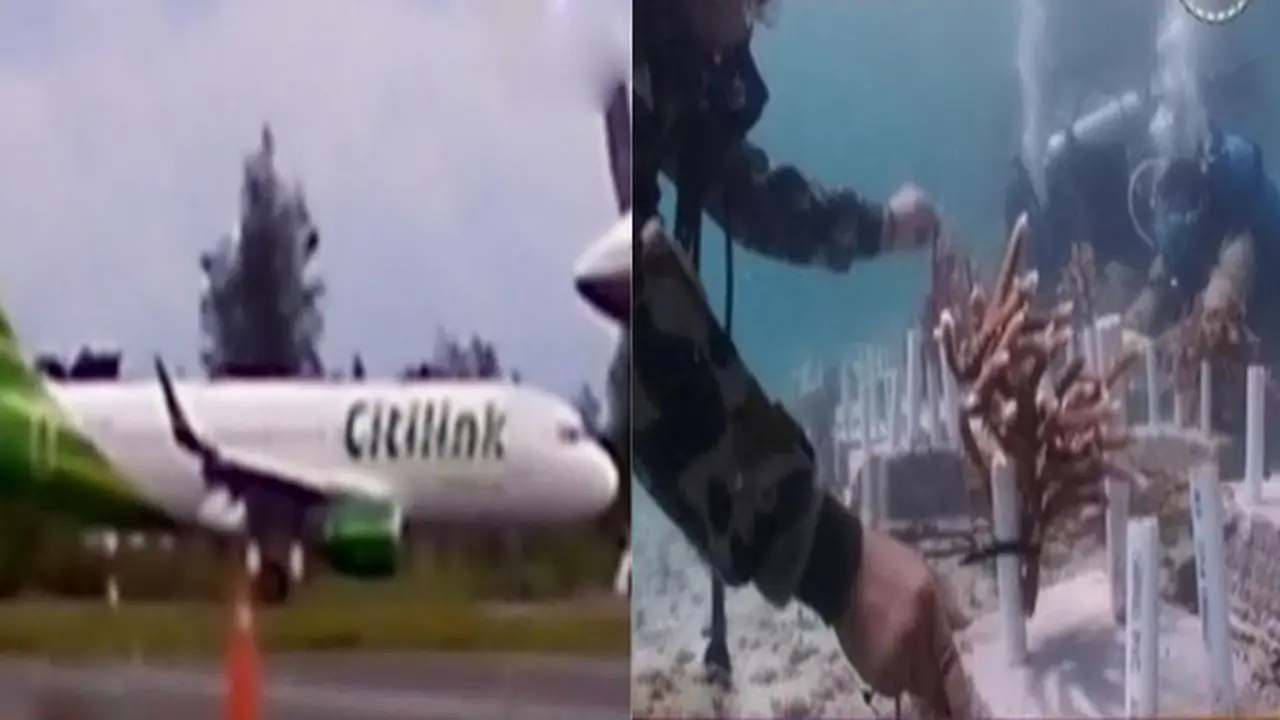 Citilink Berhasil Dipindahkan hingga Selamatkan Terumbu Karang 