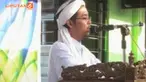 Situs ini dianggap menyebarkan ajaran aksi teror dan terorisme, bahkan dianggap mendukung teror Sarinah.