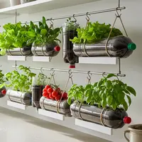 Menanam Sayur di Botol Bekas. (Foto: Gemini AI)