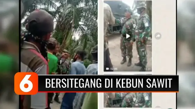 VIDEO: Sejumlah Anggota Polisi Militer di Asahan Bersitegang dengan Penjaga Kebun Sawit, Enam Orang Diamankan