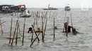 Hari ini, Rabu (22/1/2024), lebih dari 3.000 personel gabungan bersama nelayan setempat secara serentak membongkar pagar laut. (Magang/Liputan6.com/Muhammad Rizal)