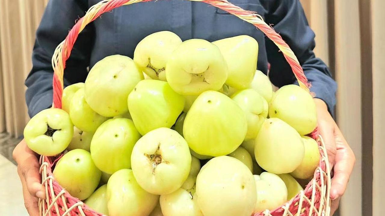 Baik untuk Kesehatan<br>
