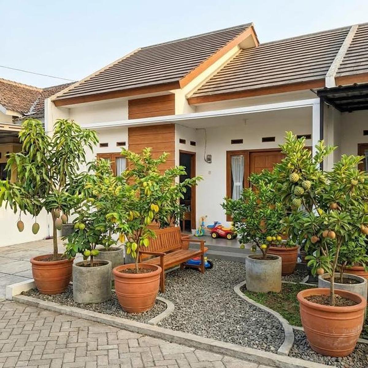 7 Model Taman Rumah Ideal dan Sehat untuk Keluarga, Hunian Asri Nyaman Ditinggali