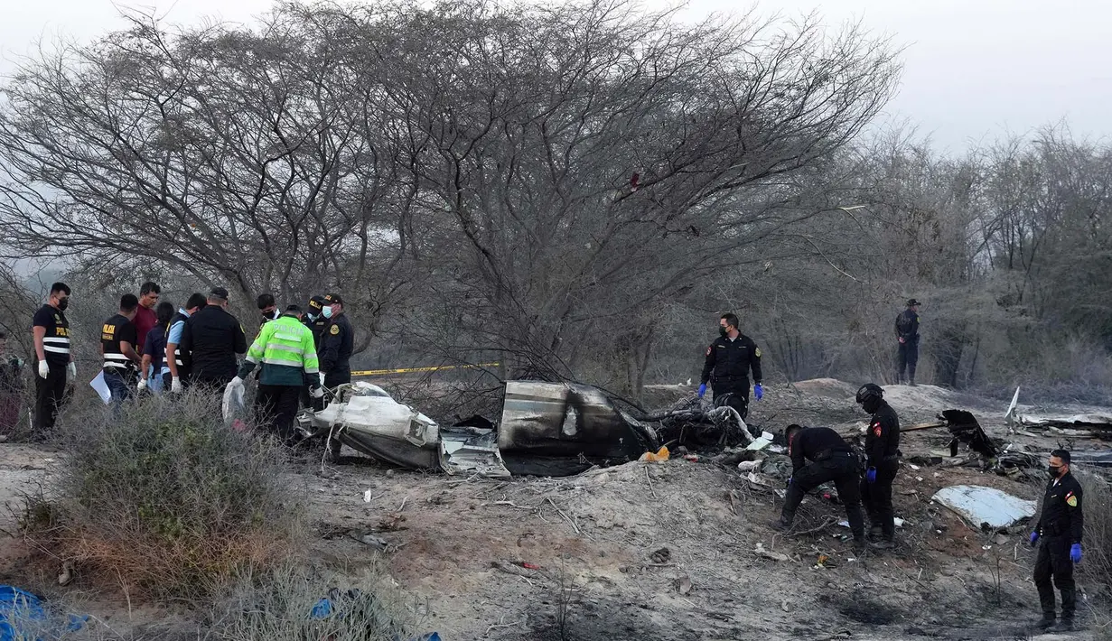 Polisi memeriksa puing-puing pesawat yang jatuh saat penerbangan wisata yang membawa turis di atas Garis Nazca di Peru, Sabtu, 1 Agustus 2026. (Foto AP/Genry Bautista)