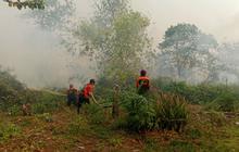 Menhut Cabut Izin 5 Perusahaan Pembakar Hutan