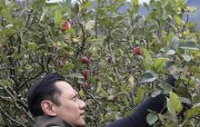 Anggukan Jokowi Kode Keras Demokrat Masuk Kabinet, AHY Unggah Foto soal Pertanian