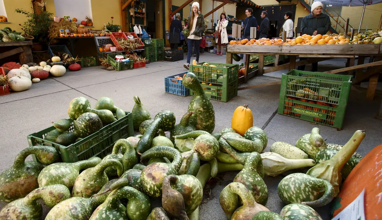 Warga melihat bermacam labu dengan berbagai bentuk dan jenis yang dipamerkan saat musim panen di pertanian Franzlbauer di Hintersdorf, Austria, Selasa (27/10/2015). (REUTERS/Heinz - Peter Bader)
