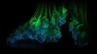 Arti Bioluminescence, Ketahui Pula Mekanisme, Fungsi, dan Contohnya