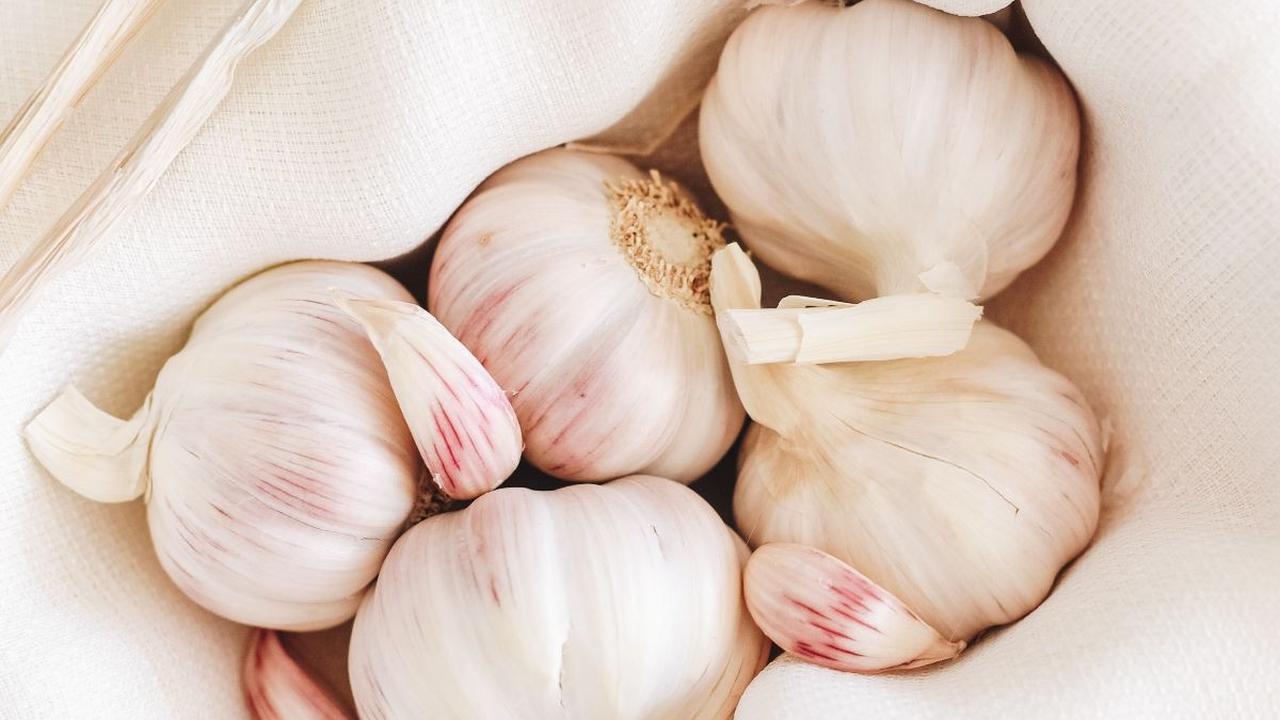 Mengenal Golden Garlic dan Manfaatnya bagi Kesehatan, Disebut Harta Karun Bumbu Dapur