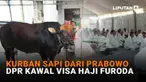 Mulai dari kurban sapi dari Prabowo hingga DPR kawal visa haji furoda di News Flash Liputan6.com.