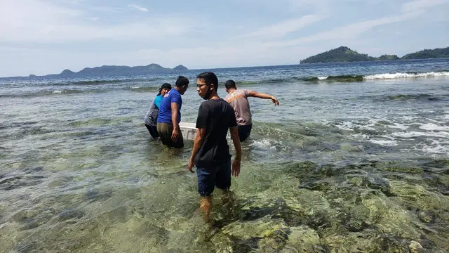 Benih Lobster