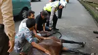 Dugaan sementara, kuda tersebut kelelahan karena tanpa henti melayani wisatawan yang berkunjung ke Kota Bogor. (Istimewa)