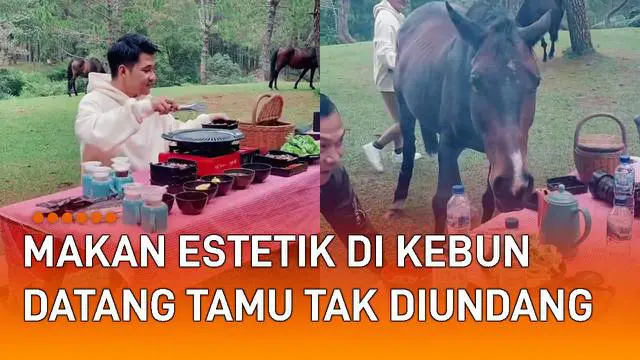 VIDEO: Makan Estetik di Kebun, Sekumpulan Pria Kedatangan Tamu Tak Diundang