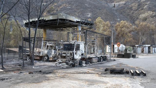 Dampak Kebakaran Hutan Pulau Sisilia di Italia