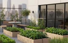 7 Tips Membuat Kebun Sayur Atap Rumah untuk Pemula dengan Hasil Melimpah, Praktis dan Anti Ribet