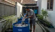 6 Ikan Air Tawar yang Paling Sering Dicari Pedagang dan Rumah Makan, Mudah Diternak di Rumah