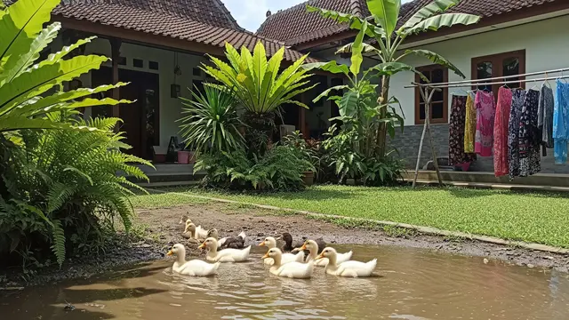 5 Cara Merawat Anak Itik agar Tumbuh Sehat dan Optimal, Panduan untuk Pemula