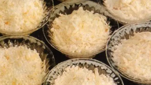 Rekomendasi Makanan Khas Papua yang Lezat dan Populer, Dikenal dengan Keunikannya
