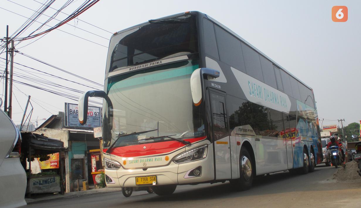 Tak hanya bus biasa, bus tingkat pun juga memiliki model yang terbilang langka. Three Star Patriot DD merupakan satu-satunya bus besar berjenis Double Decker yang diprosuksi oleh Karoseri Morodadi Prima. Bus yang dibangun di atas sasis Mercedes-Benz OC 500 RF 2542 ini memiliki desain mengotak yang terinspirasi dari bus Setra S 531 DT buatan Daimler Jerman. Sampai saat ini Three Star Patriot DD hanya ada satu unit di Indonesia dan dimiliki oleh Safari Dharma Raya.