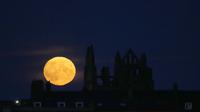 Bulan purnama yang dikenal sebagai Harvest moon muncul di atas Whitby Abbey, di Whitby, Inggris, Senin (20/9/2021). Bulan purnama Harvest Moon biasanya terjadi di bulan September, namun kadang juga terlambat hingga ke Oktober. (AP Photo/Alastair Grant)