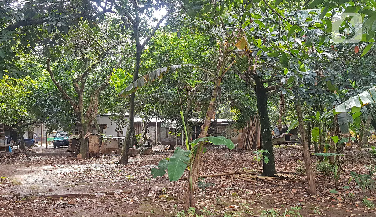Tampak lahan di RT 05/RW 05 Kelurahan Pondok Ranggon yang dikabarkan jadi lokasi pembangunan DP Rp 0, Jakarta Timur, Rabu (10/3/2021). KPK sedang menyelidiki Program Rumah DP 0 Rupiah yang berada di Munjul, Kelurahan Pondok Ranggon, Kecamatan Cipayung, Jakarta Timur. (Liputan6.com/Herman Zakharia)