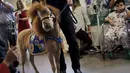 Handler Jorge Garcia - Bengochea memegang kuda poni di Rumah Sakit anak Kravis, New York City, (16/3). Kuda poni didatangkan untuk membantu terapi kesehatan pasien rumah sakit anak Kravis. (REUTERS / Mike Segar)