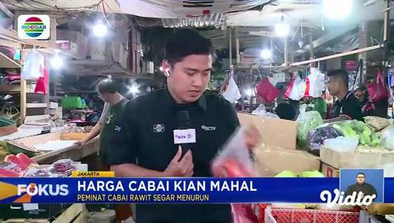 Fokus : Timnas Indonesia U-19 Juara Boys Championship