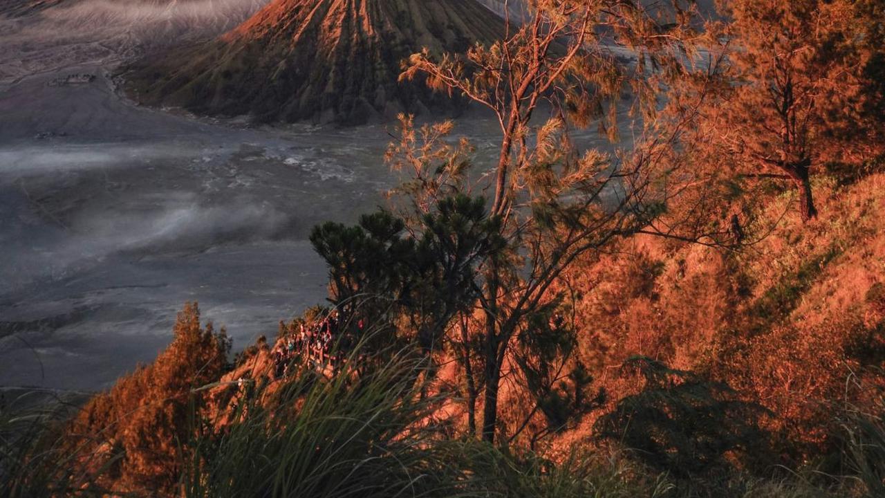 10 Wisata Gunung Bromo Terfavorit, Ada Spot Sunrise yang Eksotis