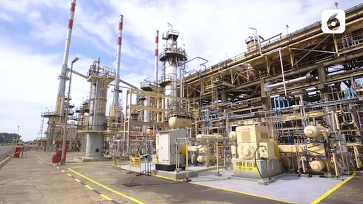 BioAvtur Pertamina, Inovasi Energi Bersih untuk Udara Sehat dan Masa Depan Lebih Baik