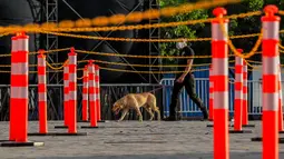 Seekor anjing pelacak bom memeriksa keamanan bioskop drive-in yang dibuka di area parkir sebuah mal di Manila, Filipina, pada 8 September 2020. (Xinhua/Rouelle Umali)