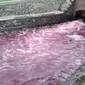 Sungai Kalibening di Jember berubah warga jadi merah (Liputan6.com/Fauzan)