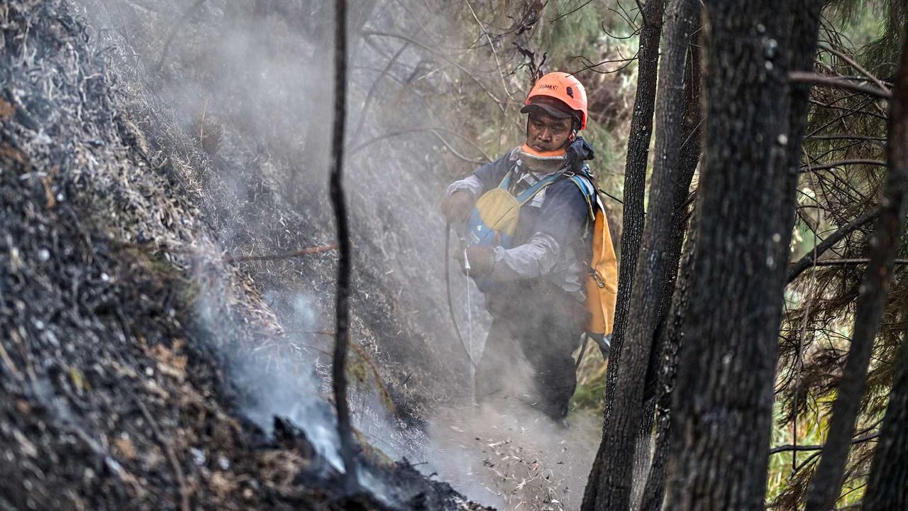 Karhutla Gunung Bromo Meluas Hingga 550 Hektare