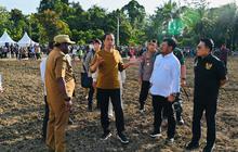 Jokowi Cari Investor untuk Proyek Food Estate