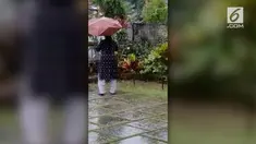 Seorang wanita mengusir ular piton sepanjang 2 meter di India. Ia menggunakan sebuah sapu untuk menakut-nakuti ular tersebut agar menjauh dari rumahnya.