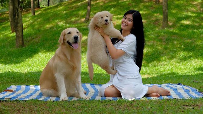 FOTO: Kebersamaan Rasyena Istri Bimo Aryo Bareng Hewan ...