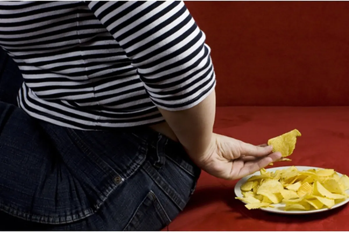 Courtesy ShutterStock.com