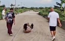 Momen Kapolres Jungkir Balik di Jalanan Gembleng Bintara Ramai Jadi Sorotan, Sosoknya Dikenal Kocak